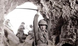 日本成片在线观看,揭秘热门影视作品背后的故事